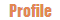 �v���t�B�[��