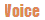 �u���O